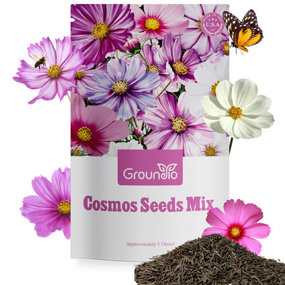 Cosmos Seeds Wildflower Mix 4 varieties