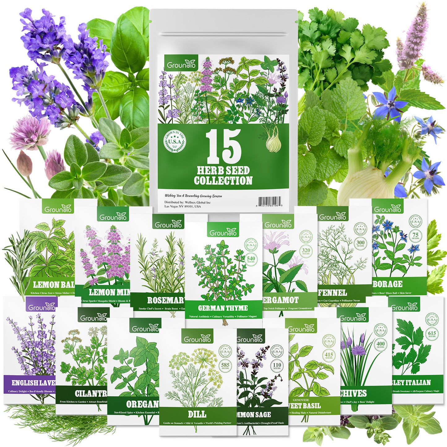 15 Herb Seeds Variety Pack