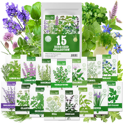 15 Herb Seeds Variety Pack