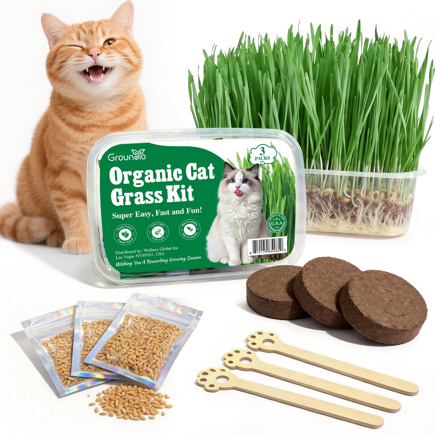 All in 1 Cat Grass Growing Kit for Indoor Cats, Organic Wheat & Oat Seed