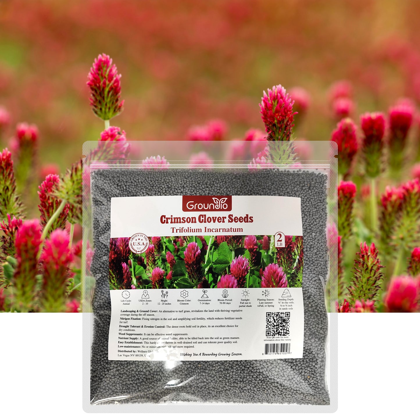 Crimson Clover Seeds 2 lbs.