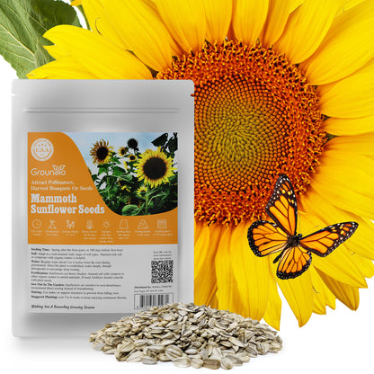 Mammoth Sunflower Seeds 1oz