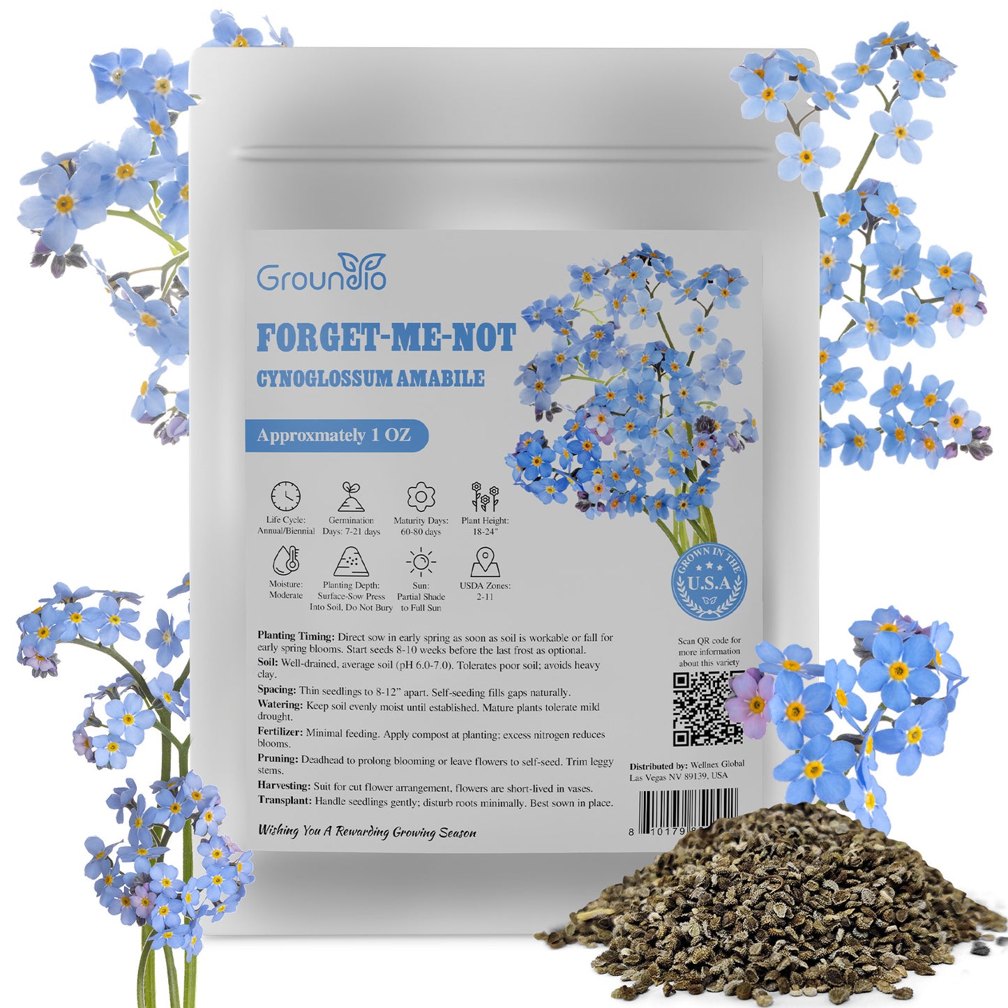 Chinese Forget Me Not Seeds 1 Ounce 6000+