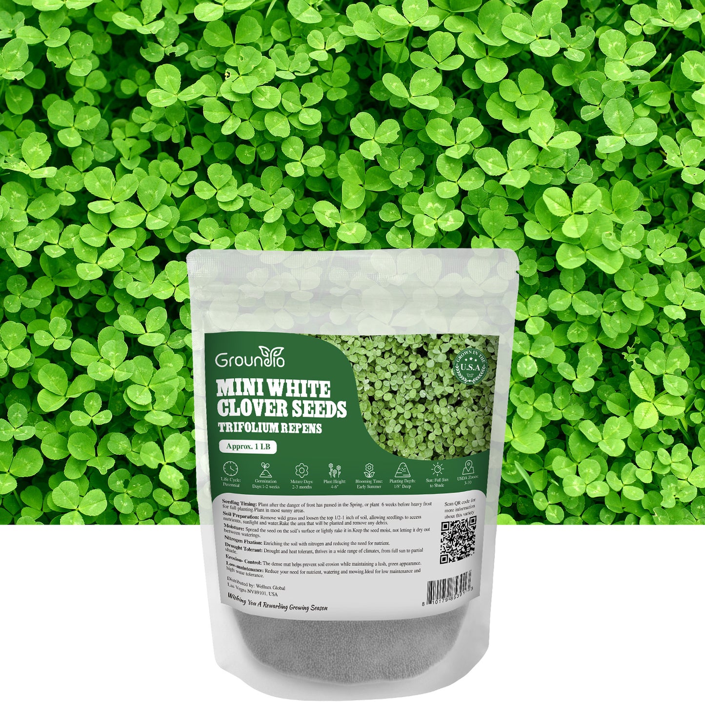 Mini White Clover Seeds 1LB