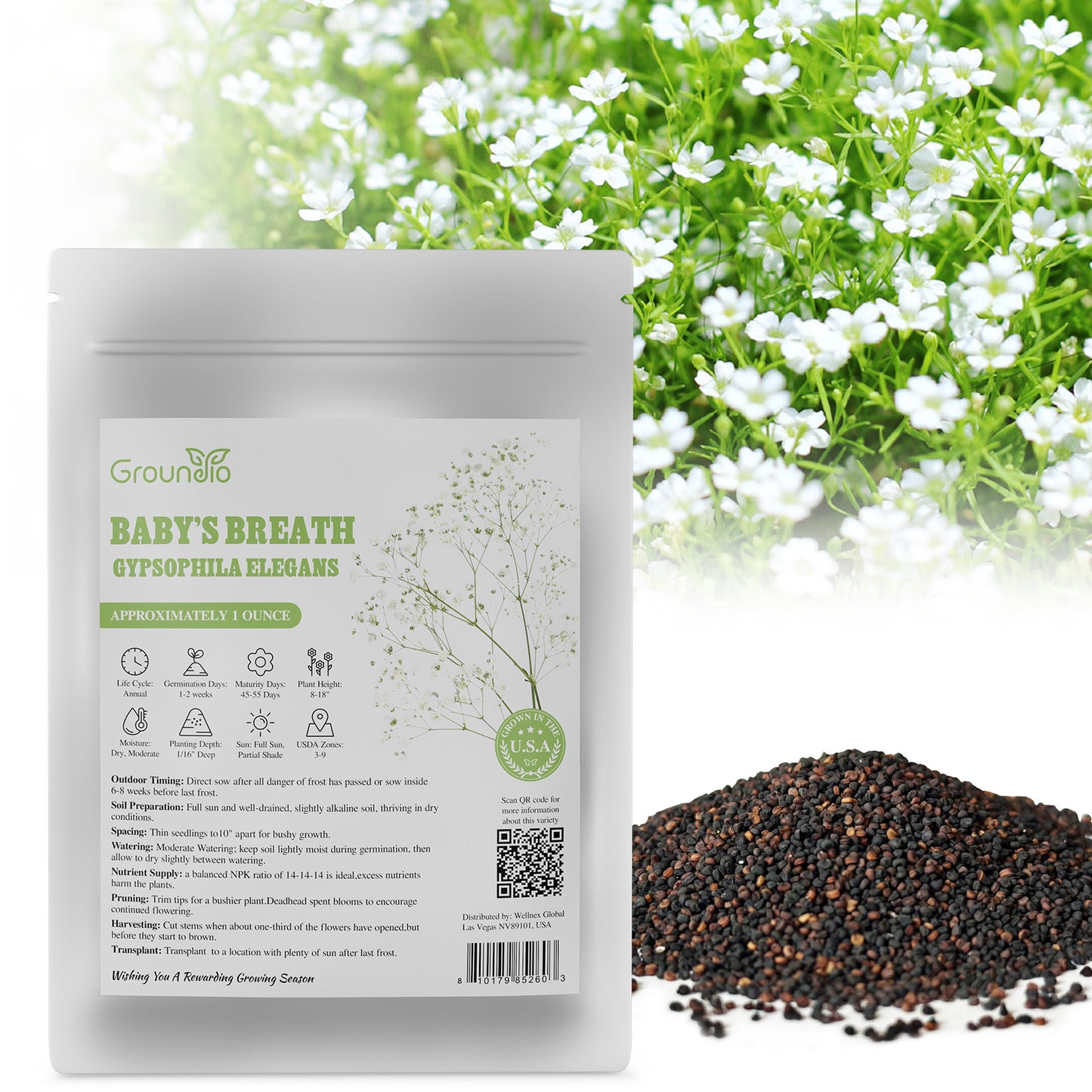 Baby's Breath Seeds 1oz