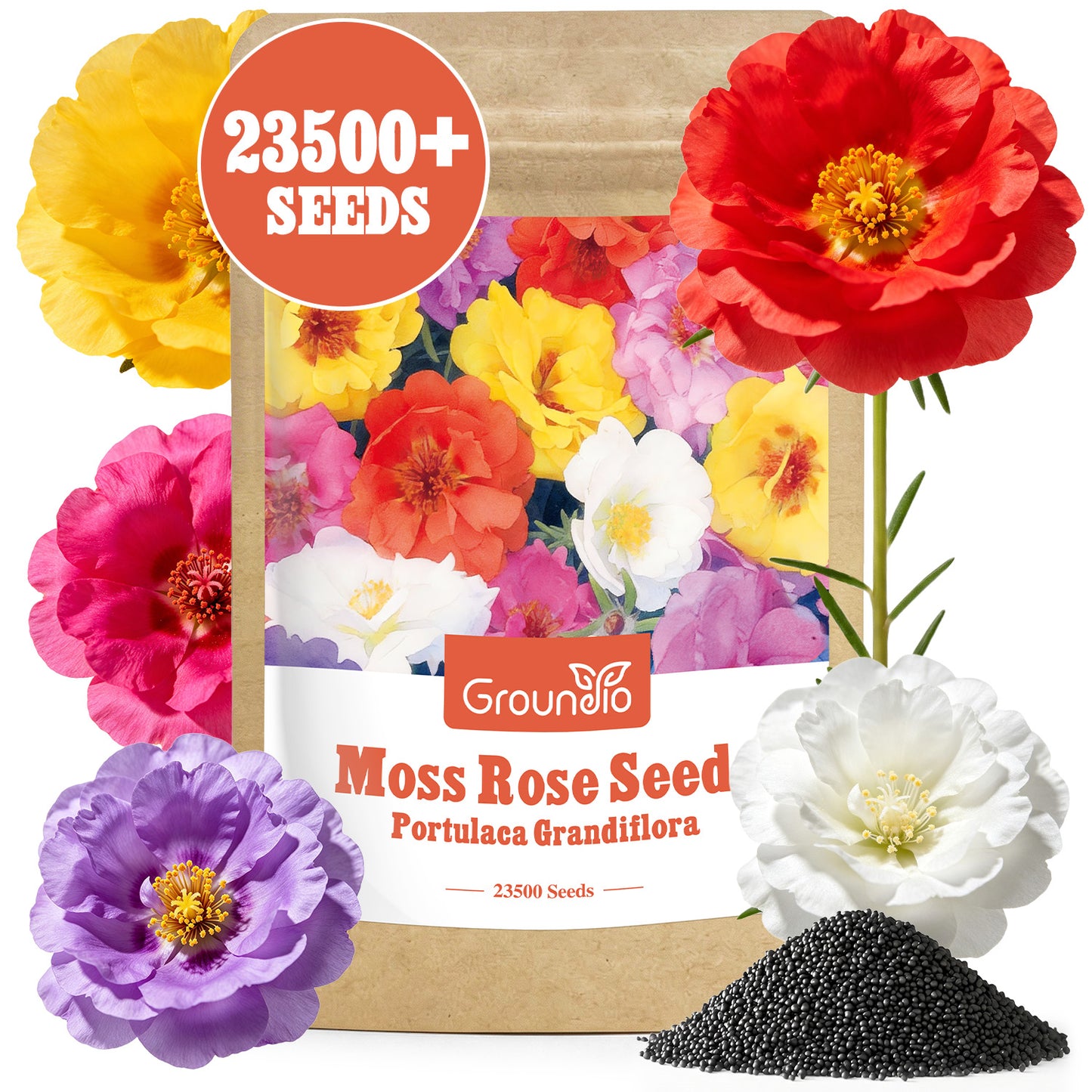 23500+ Mixed Moss Rose Seeds