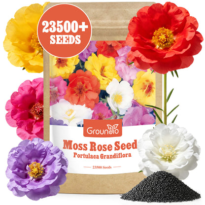 23500+ Mixed Moss Rose Seeds