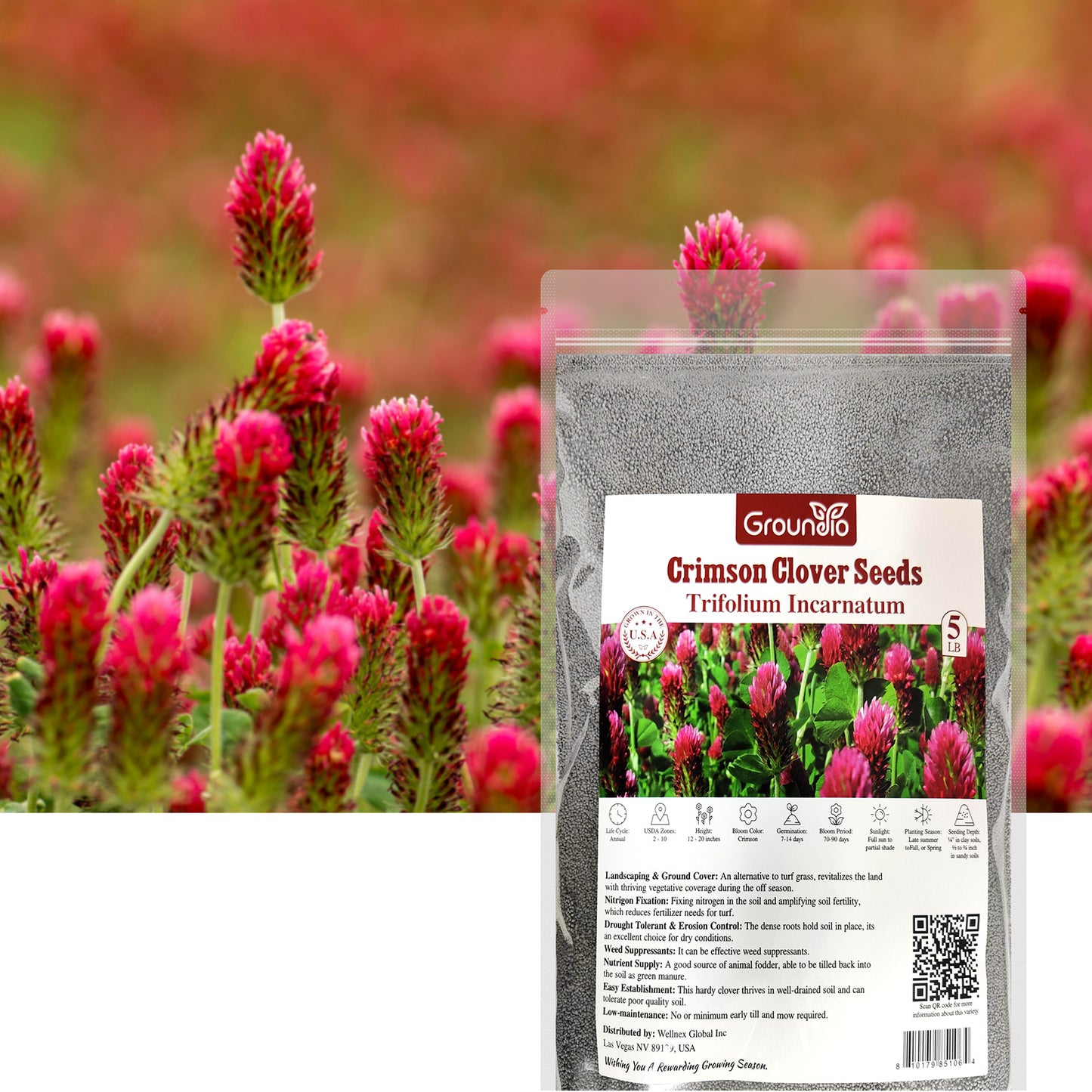 Crimson Clover Seeds 5 lbs.