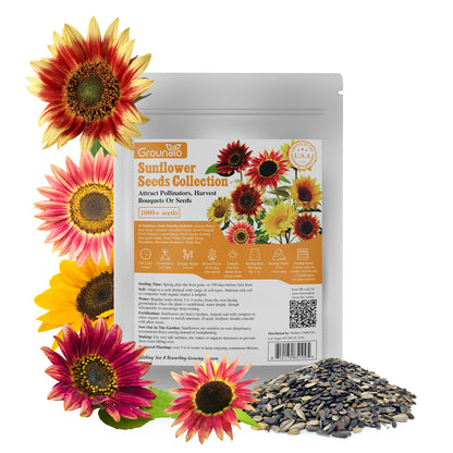 Mixed Sunflower Seeds 1oz