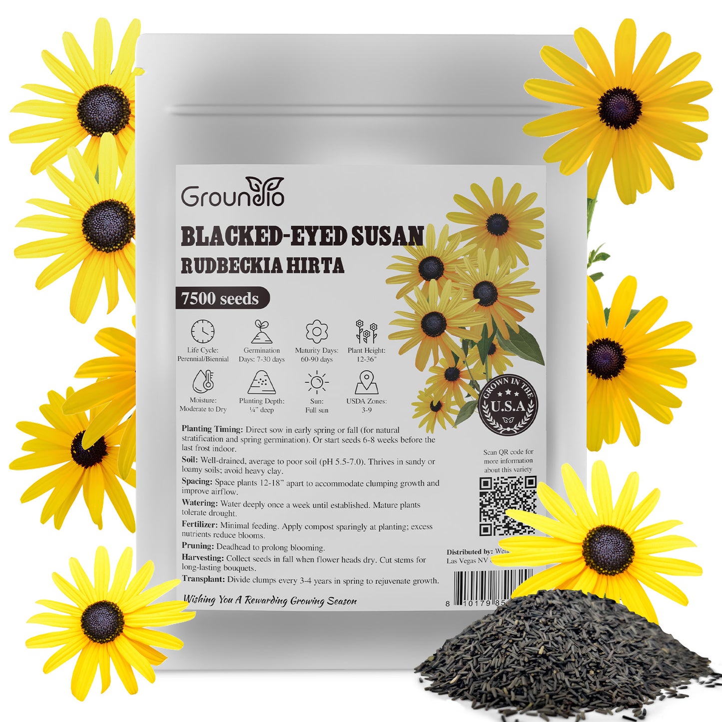 black eye susan 2g