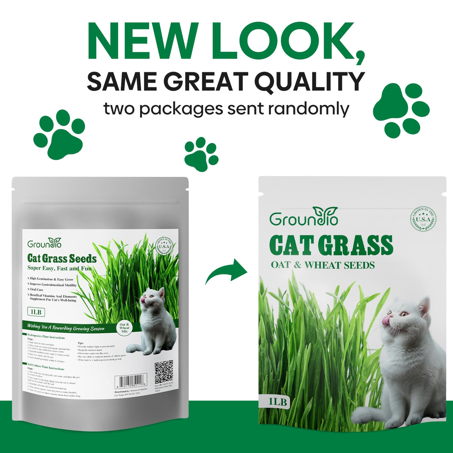 Cat grass seeds 16oz