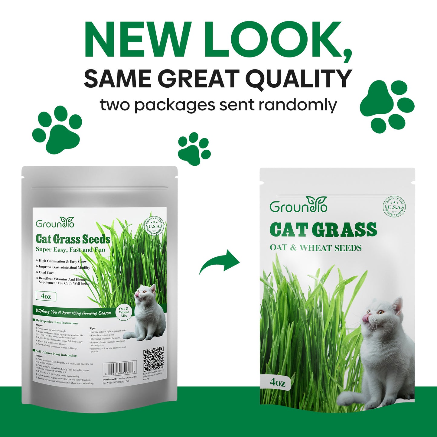 Cat grass seeds 4oz