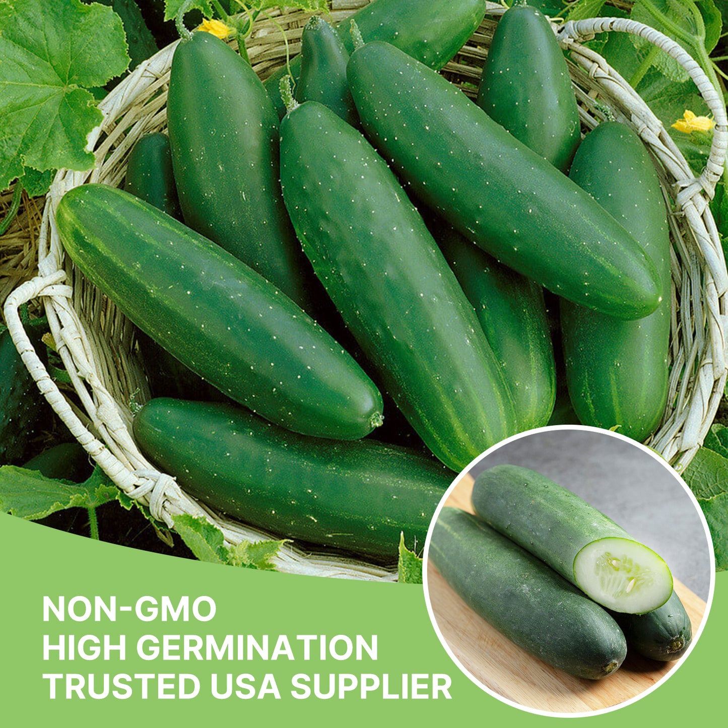 Organic Cucumber Seeds