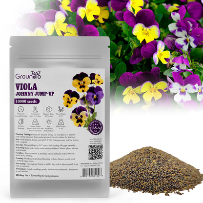 Johnny jump up Viola 6g