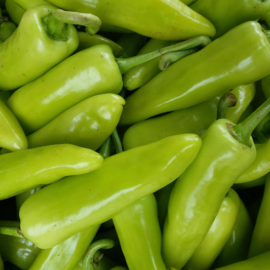 Jalapeno Pepper Seeds for Planting